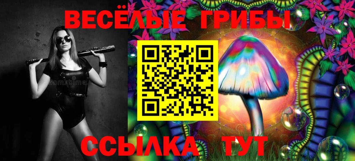 Псилоцибиновые грибы Psilocybe  Вход с VPN  Электросталь  Галлюциногенные грибы ЛСД 
